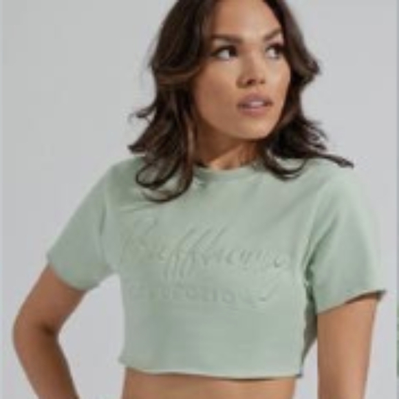 Alphalete Tops - *Like New!* BuffBunny Cloud Crop Short sleeve Top in Mojave Mint
